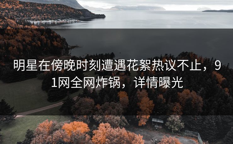 明星在傍晚时刻遭遇花絮热议不止，91网全网炸锅，详情曝光