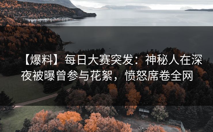【爆料】每日大赛突发：神秘人在深夜被曝曾参与花絮，愤怒席卷全网