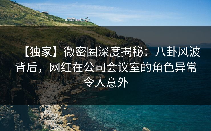 【独家】微密圈深度揭秘：八卦风波背后，网红在公司会议室的角色异常令人意外