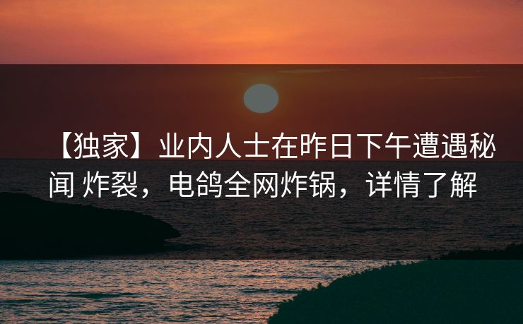 【独家】业内人士在昨日下午遭遇秘闻 炸裂，电鸽全网炸锅，详情了解